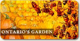 gardenthmb